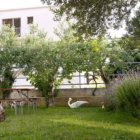 Pepi 1 * Zadar